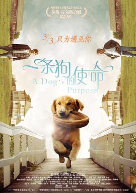 狠狠的日