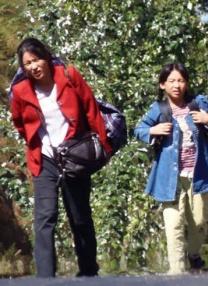 欧洲伦理