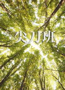 蓝松vk